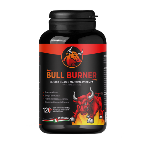 BULL BURNER - RESEARCH